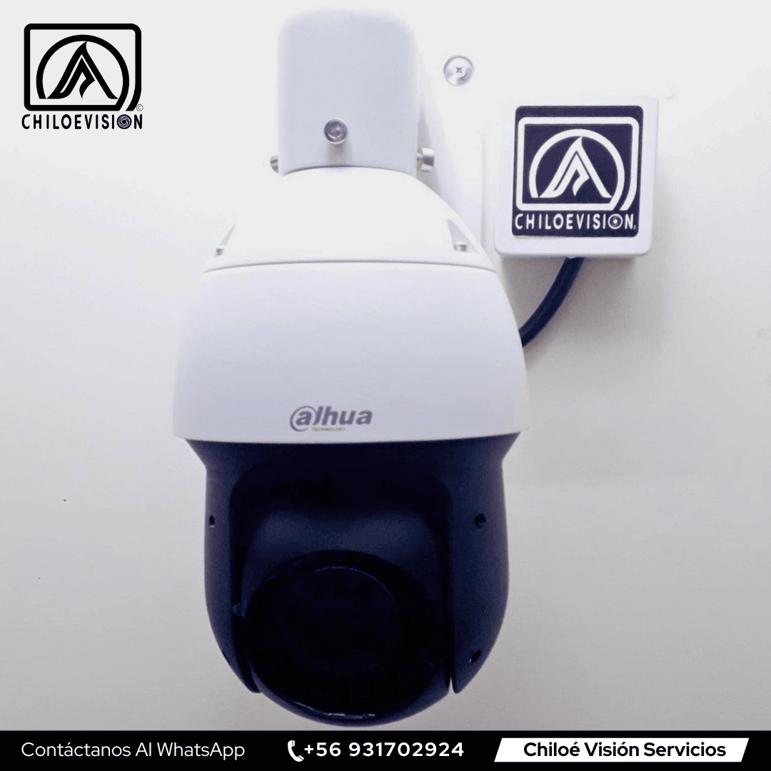 Instalacion de camara de seguridad dahua ptz x25 en chiloe vision servicios