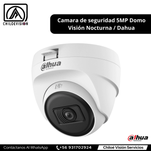 Cámara de Seguridad Domo en Quellon, Chiloé / Dahua