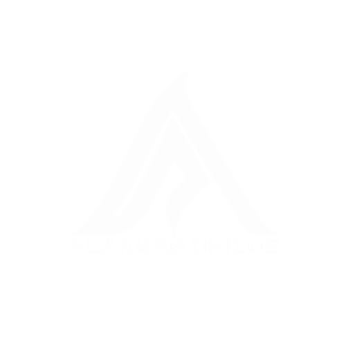Alarmas Chiloe© → alarmas de seguridad
