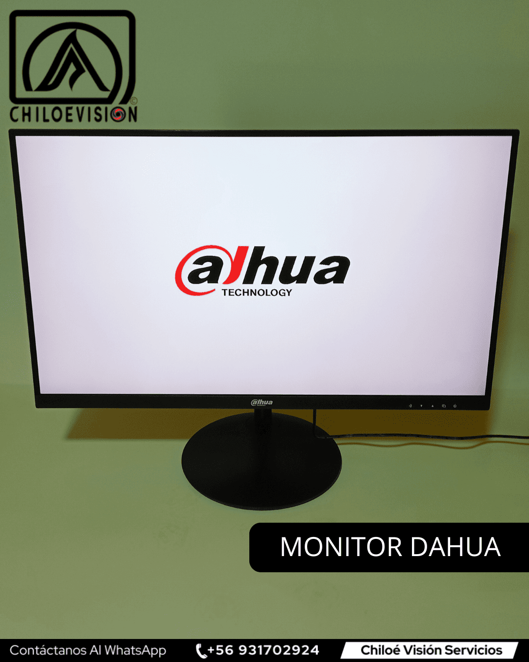 Monitor Dahua en Chiloe