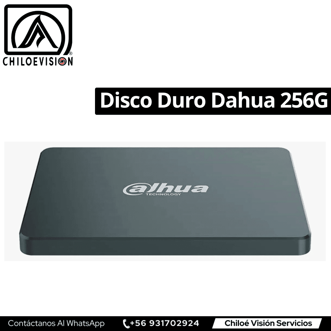 Disco Duro 256GB en Chiloe