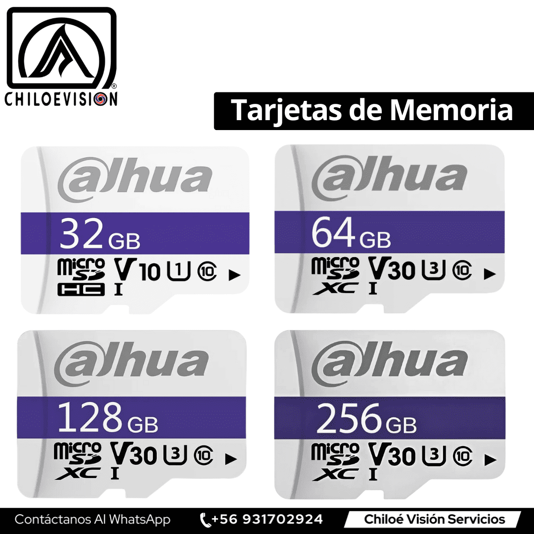 Tarjetas de Memoria Dahua