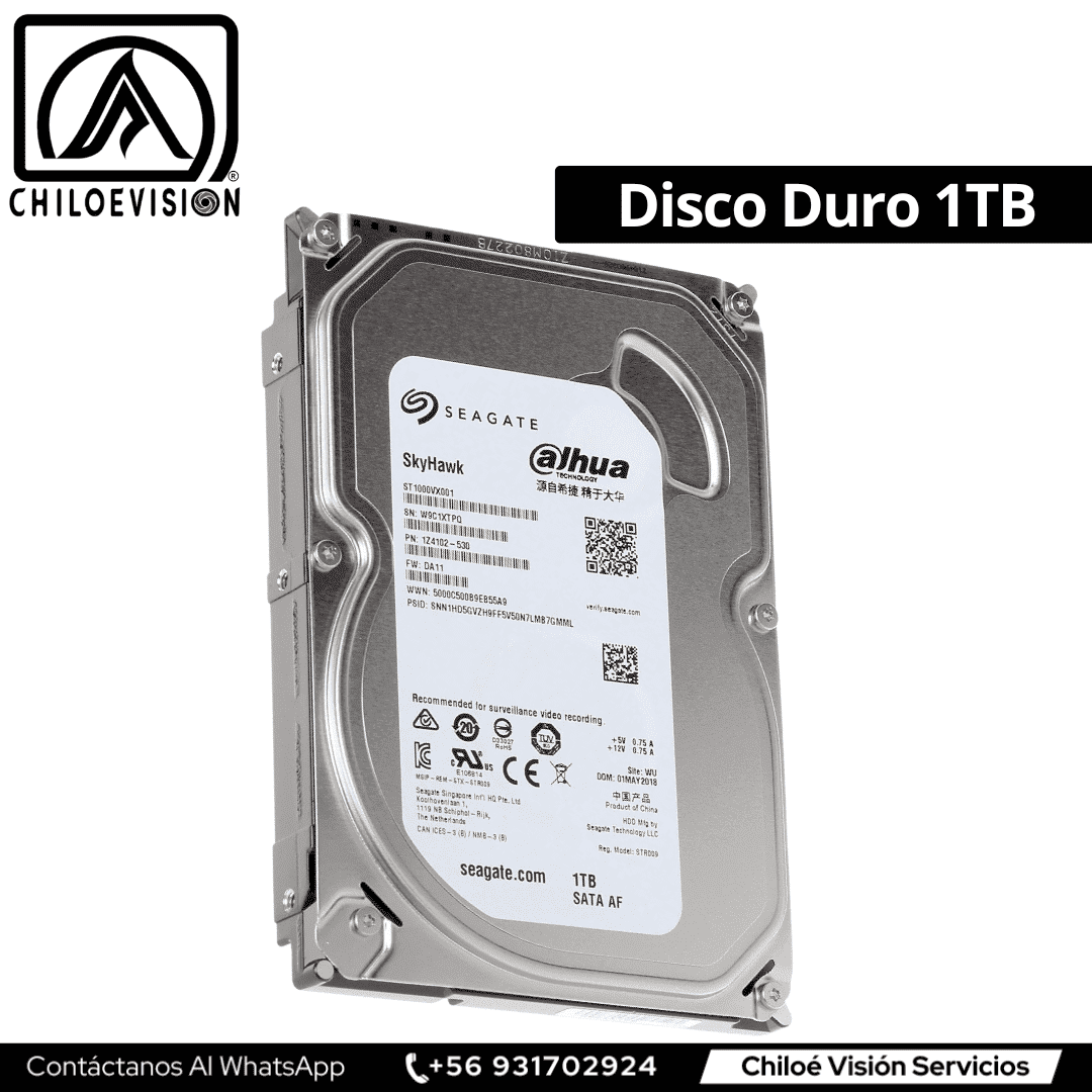 Disco Duro 1TB en Chiloé
